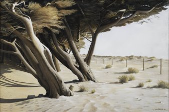 Árvores e Paisagens