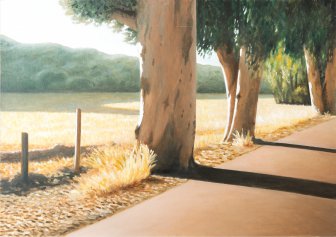 Estrada com eucaliptos