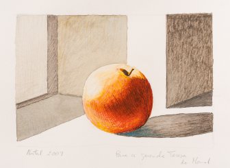 [Untitled (Christmas)]