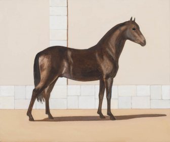 Os cavalos 1