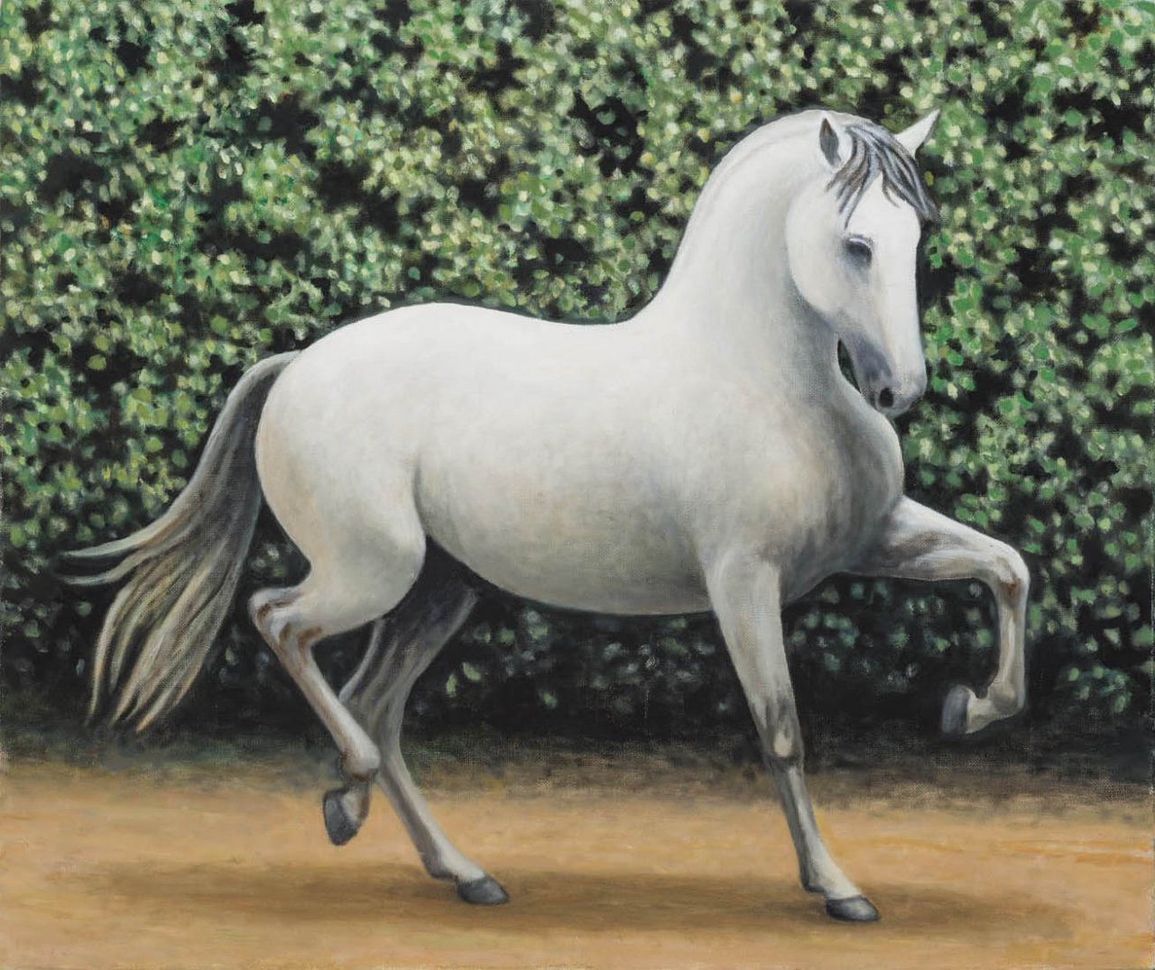 Os cavalos 2