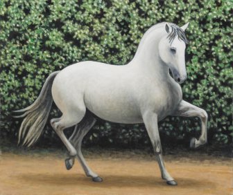 Os cavalos 2