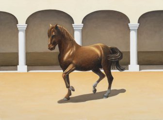 Os cavalos 6