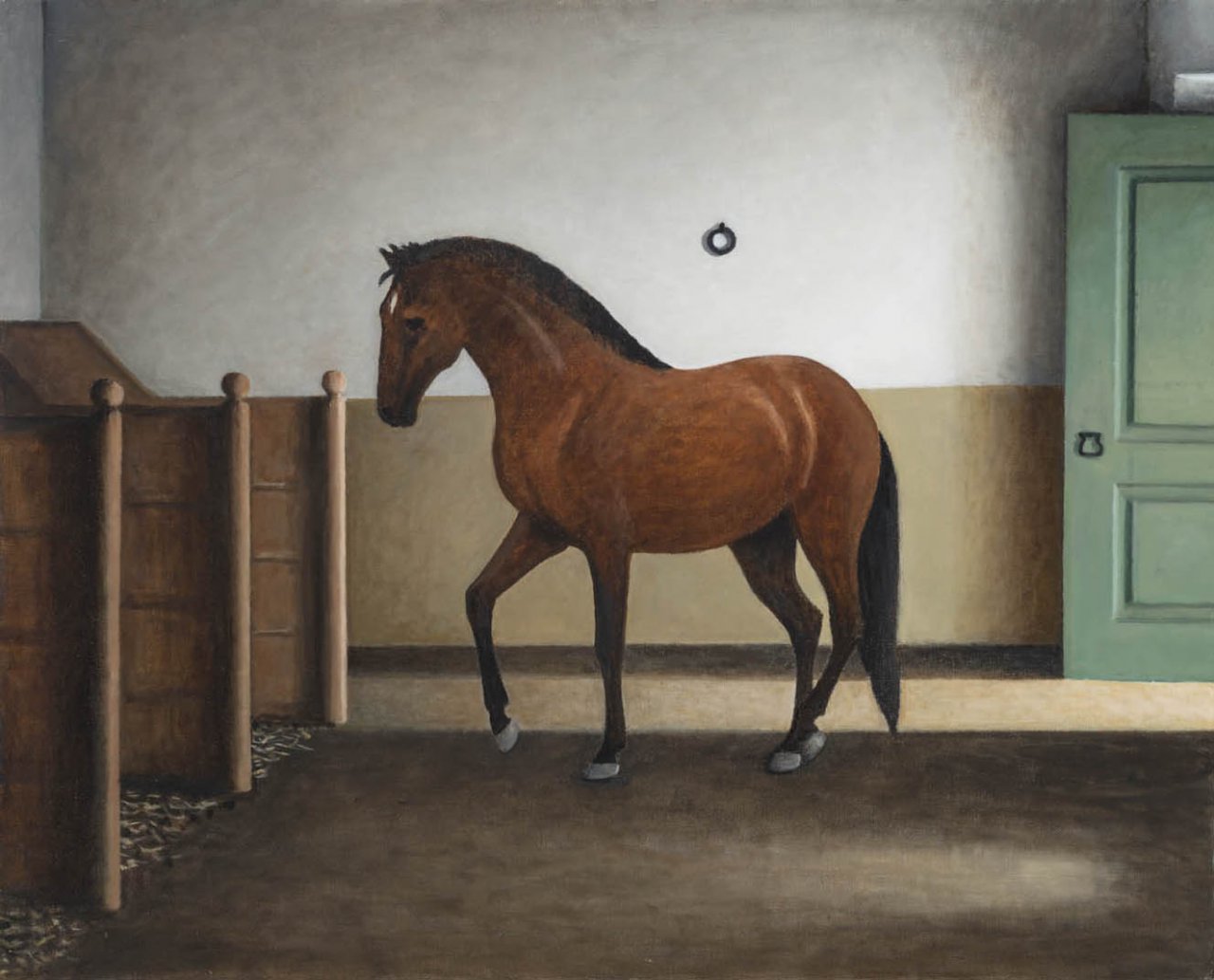 Os cavalos 7