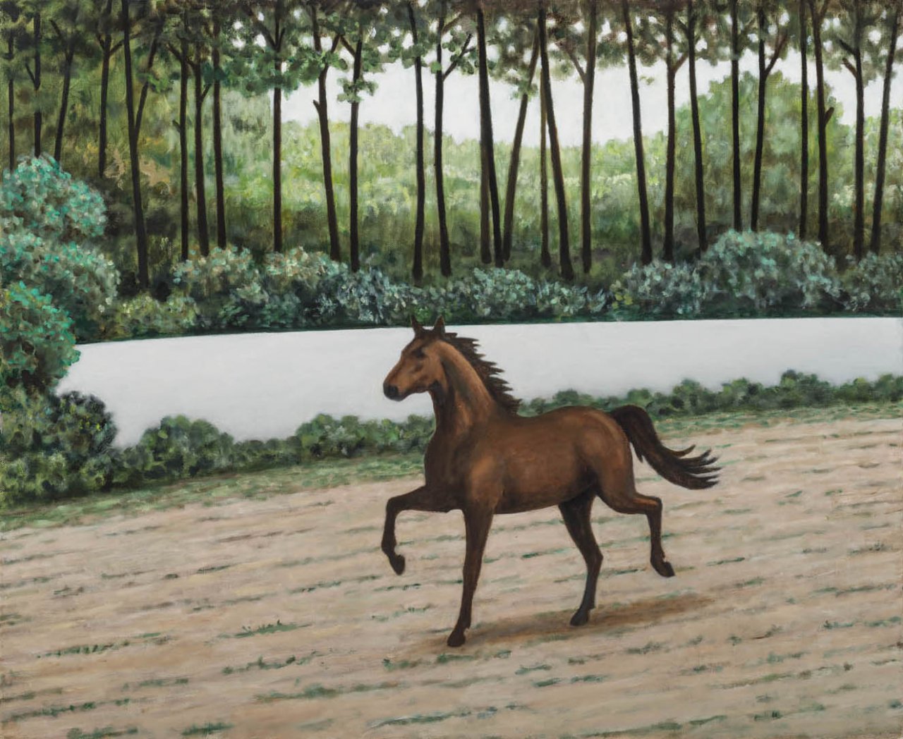 Os cavalos 8