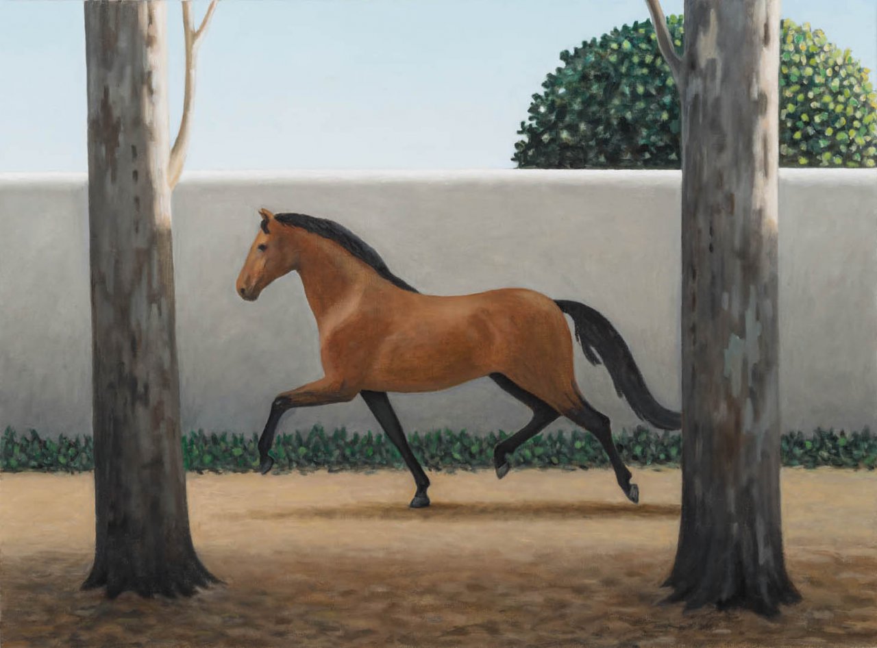 Os cavalos 10