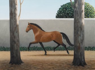 Os cavalos 10