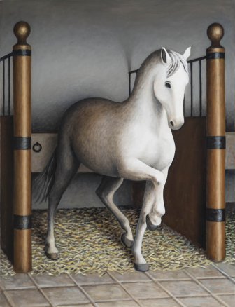 Os cavalos 16