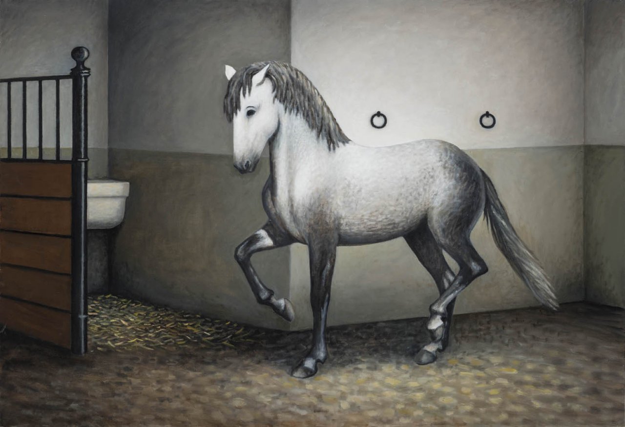 Os cavalos 17