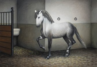 Os cavalos 17