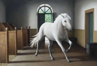 Os cavalos 19