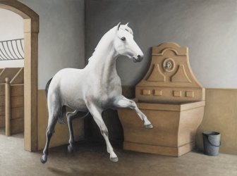 Os cavalos 20