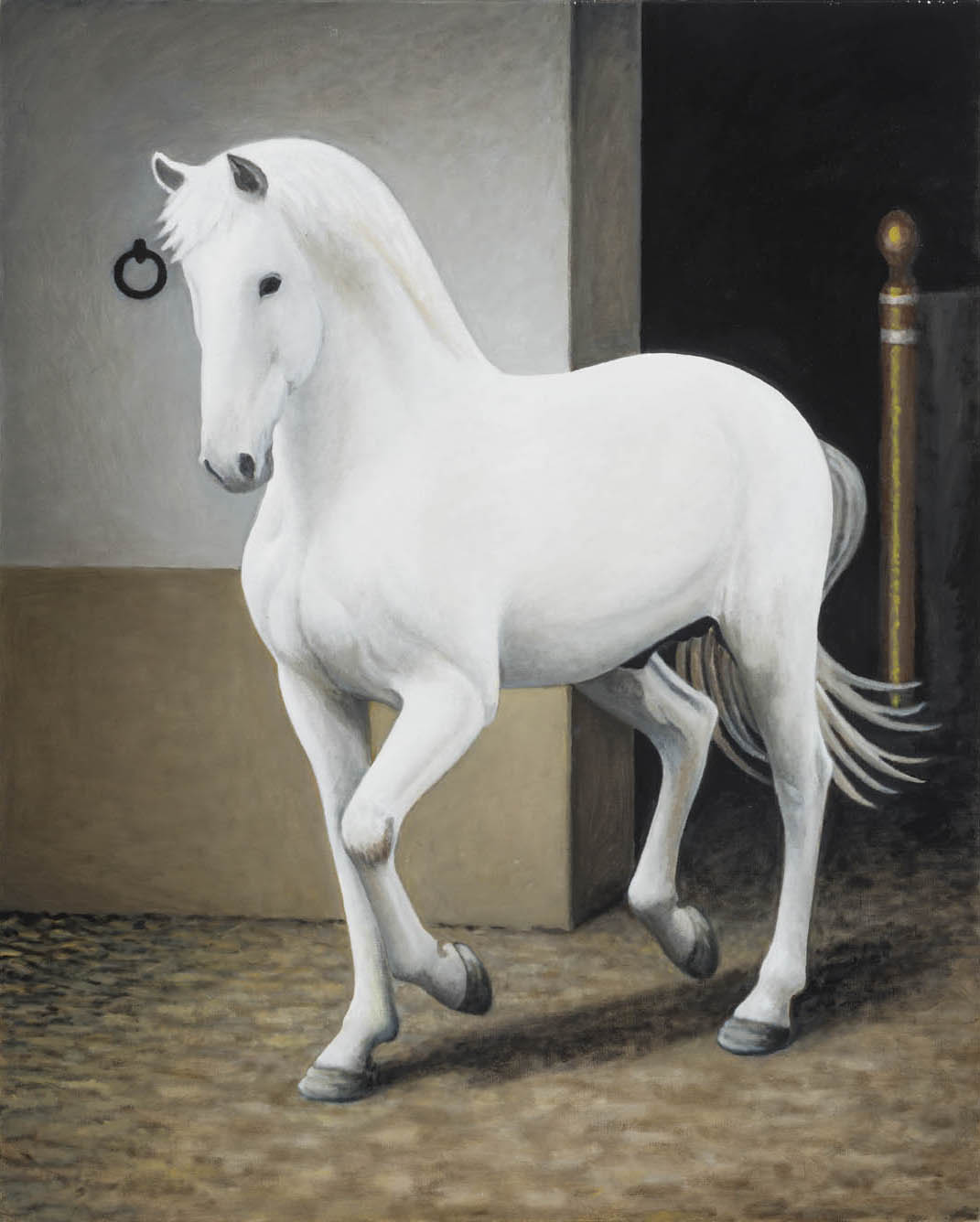 Os cavalos 21