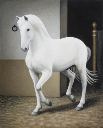 Os cavalos 21
