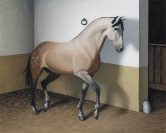 Os cavalos 22