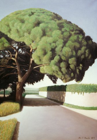 Estrada com pinheiro I