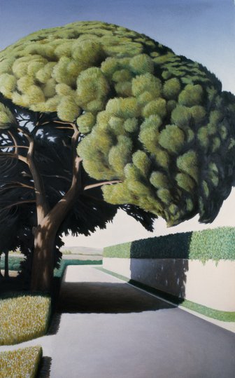 Estrada com pinheiro II