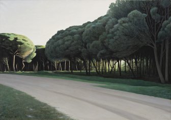 Pinhal &agrave; tardinha III