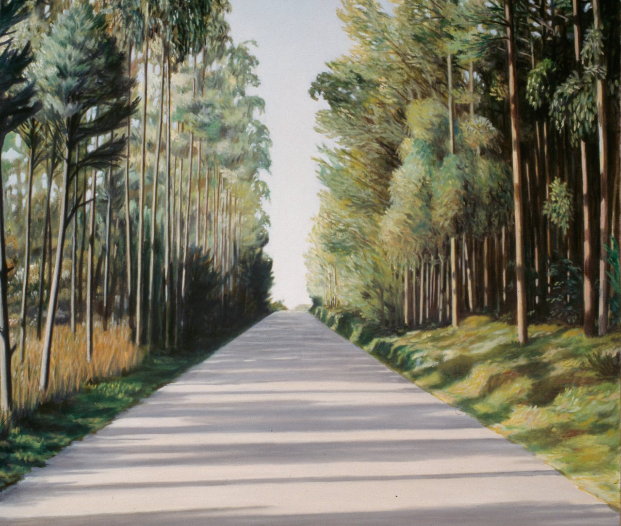 A estrada