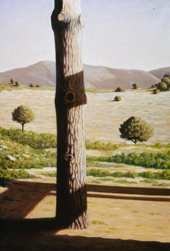 Pinheiro com serra da Arr&aacute;bida ao fundo