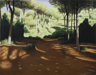 [The Pine Forest at Comenda]
