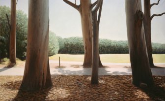 Estrada com eucaliptos