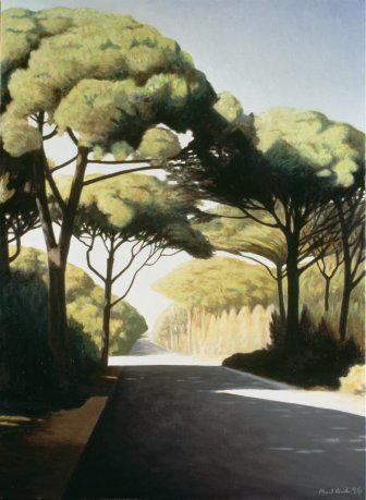 Estrada com pinheiros