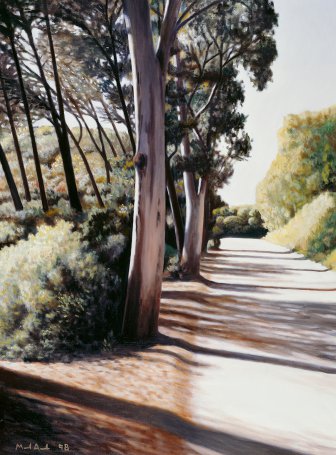 Estrada com eucaliptos II